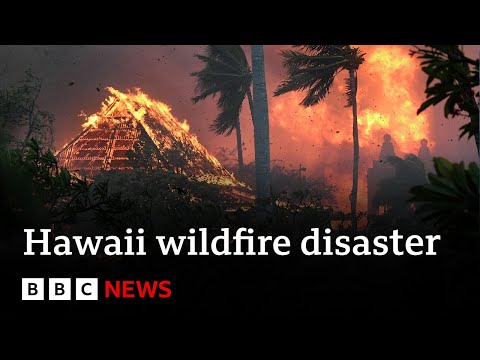Hawaii deadly wildfires cause catastrophic damage - BBC News