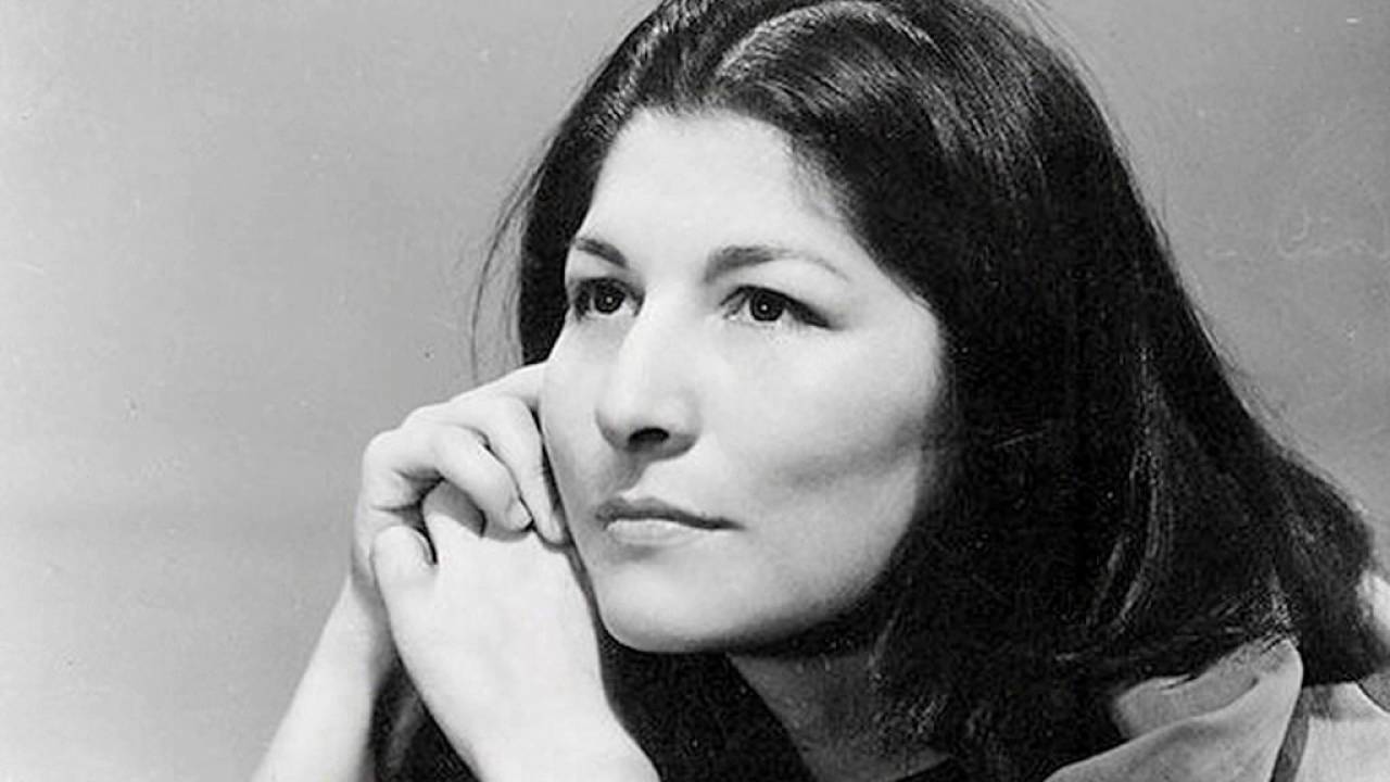 la viajerita   mercedes sosa