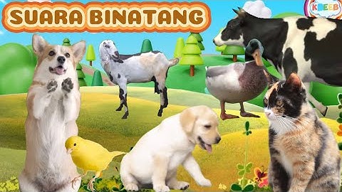 Lagu Anak SUARA BINATANG yang lagi viral - KBeeb #laguanak #suarabinatang #laguanakindonesia