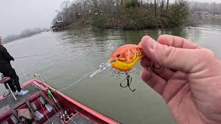 Lake Harding  --(Fourth Place & BIG FISH)