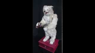 Drinking Bear Automaton