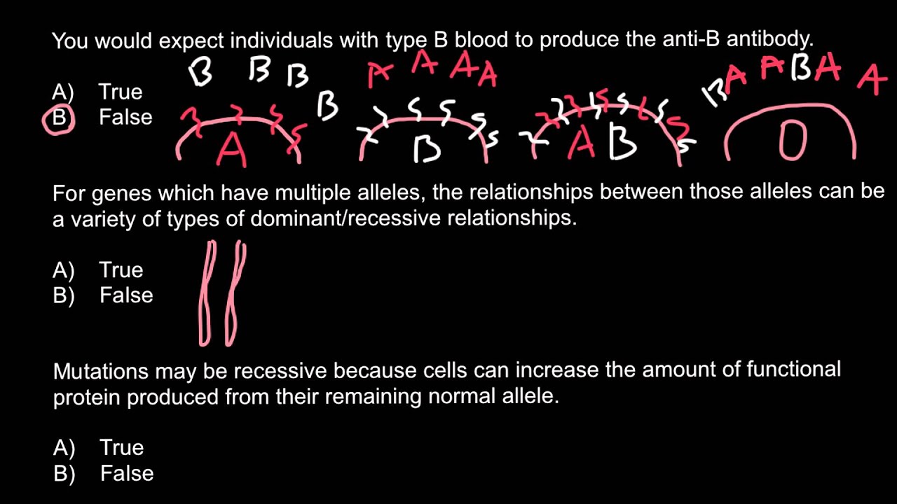 Antibodies and Antigens what the difference? YouTube