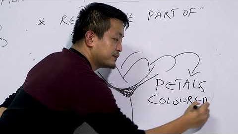 Class 6 Science 17 Aug. 2020 Topic : Getting to know Plants (Part 2)