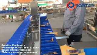 Automatic Vacuum Packed Sweet Corn Weight Sorting Machine
