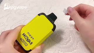 Fizzy Nova Plus 40000 40K Puffs Disposable Vape Dual Mesh Coil 12Tastes Pgvape