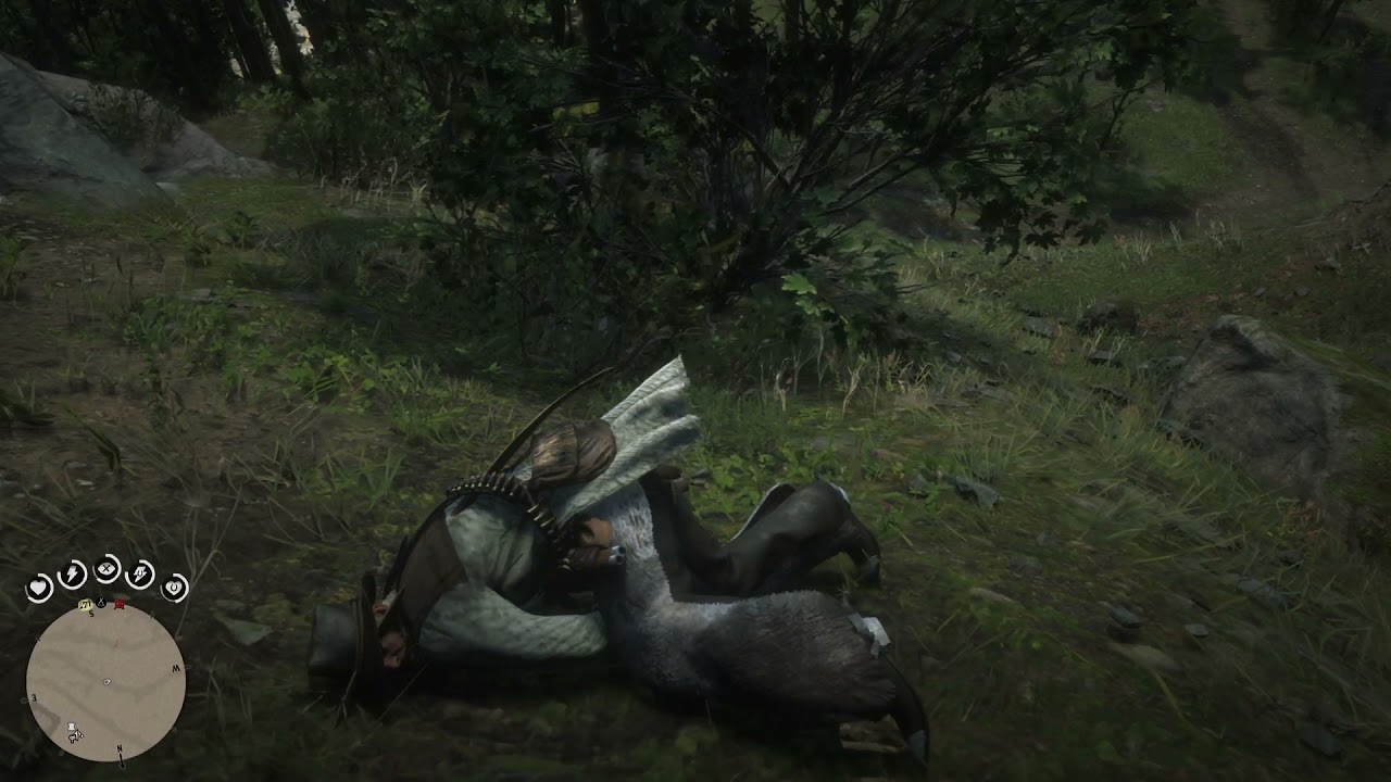 Slow your roll RDR2 YouTube