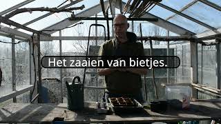 Bietjes Voor Zaaien.