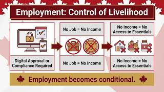 Leverage: The Hidden Mechanism Behind Digital Control