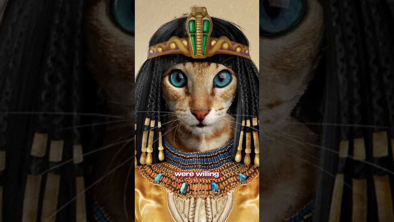 Sacred Feline Wonders 