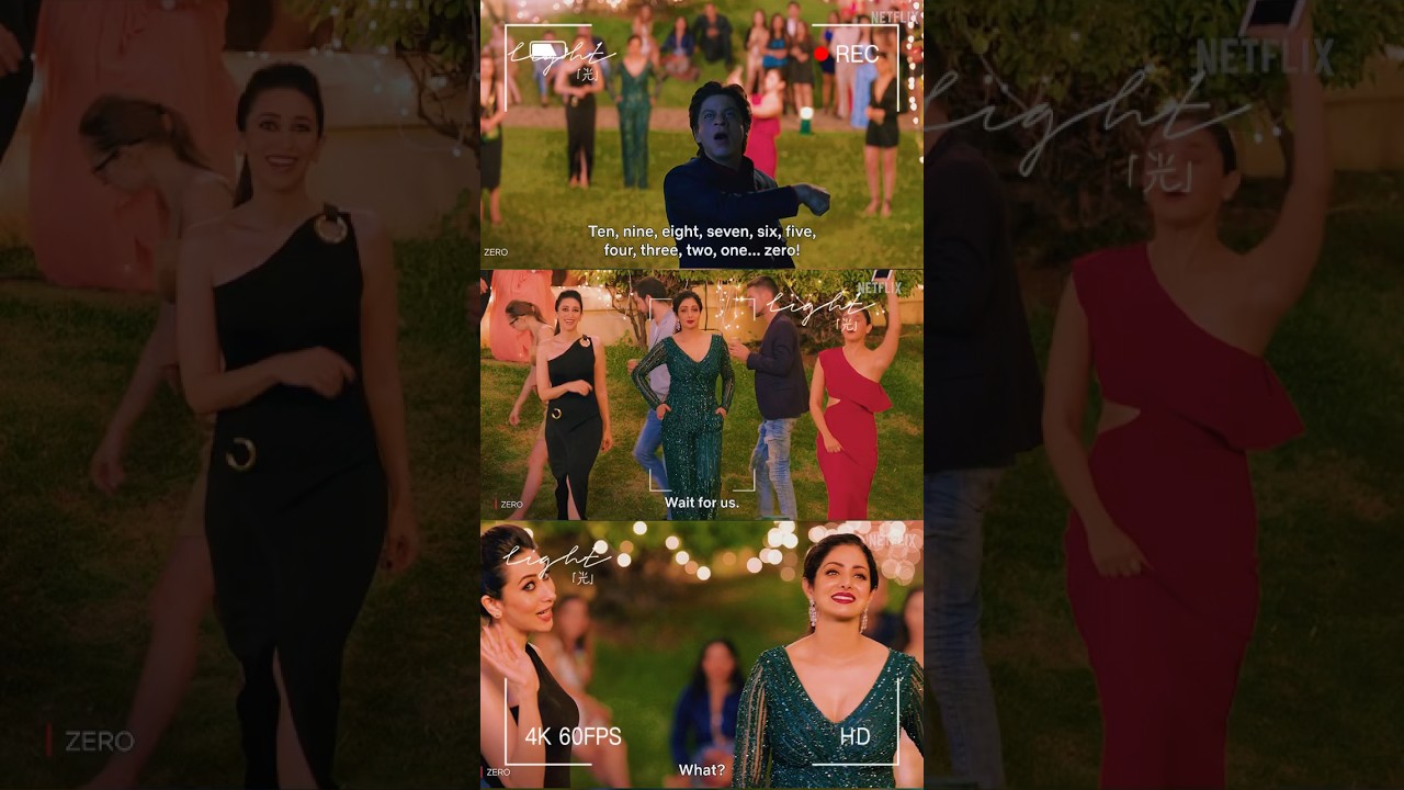 Mere Naam Tu Shahrukh Khan Movie Cameos Some Actress Zero Movie 