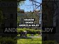 KRAKÓW SKWER ANDRZEJA WAJDY 4K ZOSTAW SUBSKRYPCJĘ POZDRAWIAM SERDECZNIE