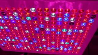 Watch & Know Before You Grow - Episode 22 - Kind Led Grow Ligts