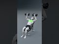 🔥 Best Chest Exercise | Bench Dumbbell Press Correct Form