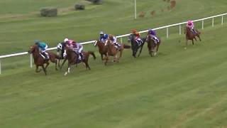 Vidéo de la course PMU PRIX DAMAS