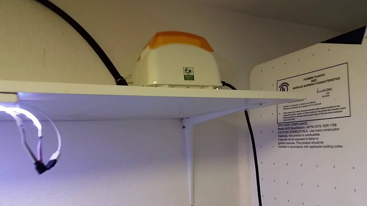 Discus America discus pairs room Alita AL 40 pump YouTube