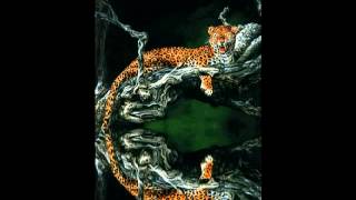 Leopard screenshot 2