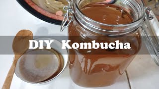 DIY kombucha- Cara membuat teh fermentasi kombucha