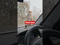 video viral karo