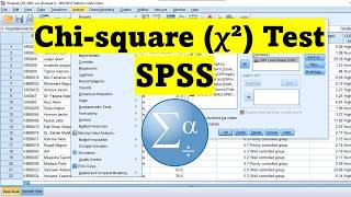 How to do the Chi-Square Test In SPSS | SPSS Analysis 