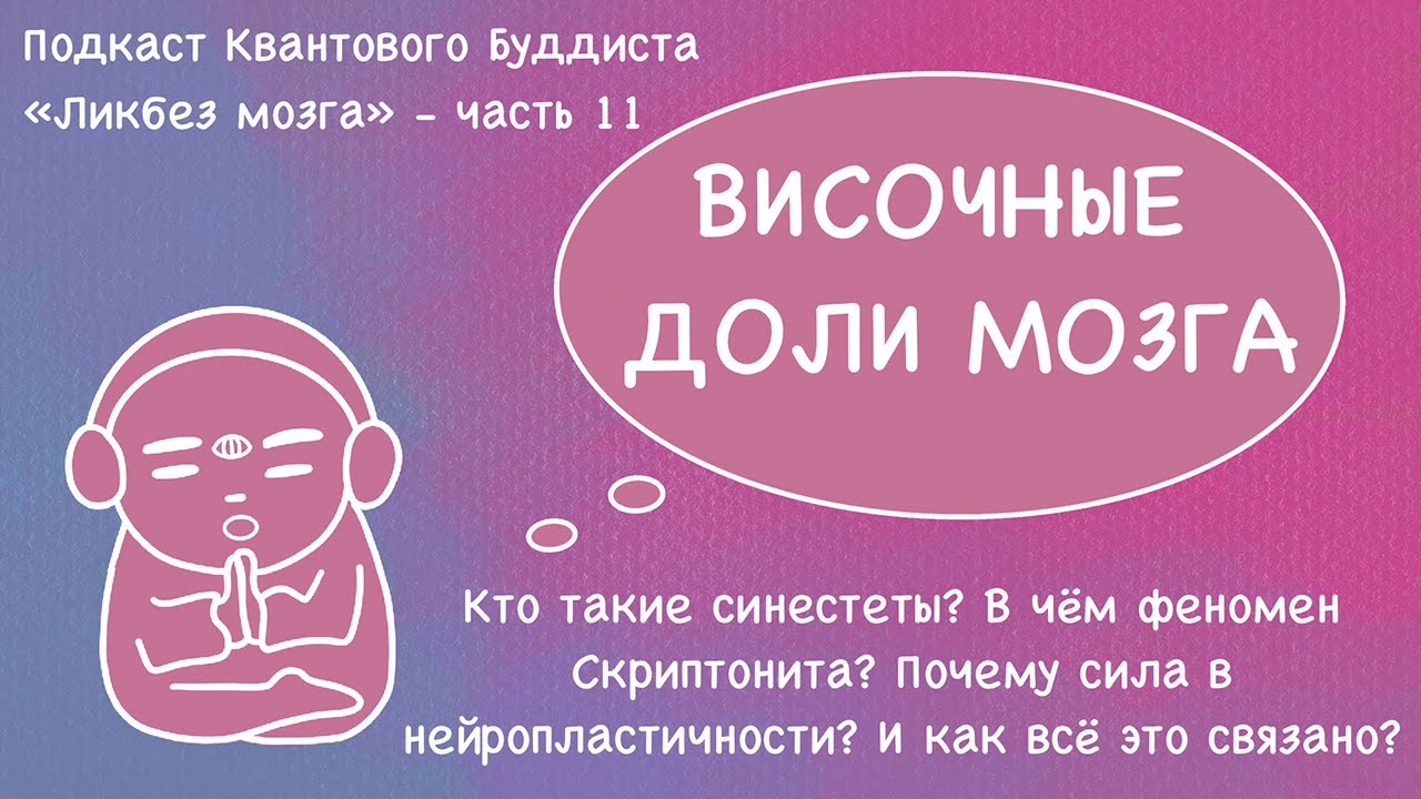 Височные доли мозга. Как мы слышим мир? Синестеты, нейропластичность ...
