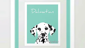 Dalmatian