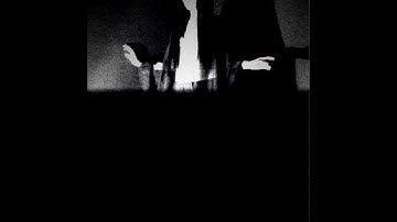 PARALLEL CONSTRUCTION | Film