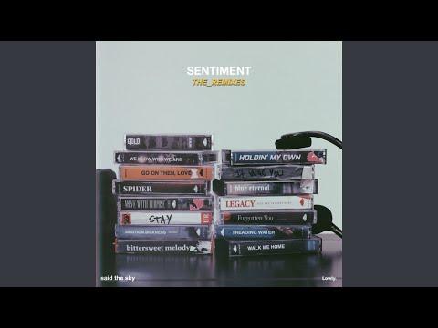 Said The Sky, The State Champs, Mazare - Legacy - Mazare Remix