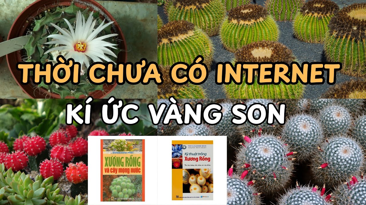 KÝ ỨC VÀNG SON THỜI CHƯA CÓ INTERNET Của Người Chơi XƯƠNG RỒNG | Xương rồng thời xưa