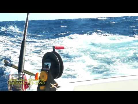 High Seas Charters1 1