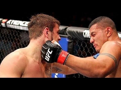 Nikita Krylov vs Soa Palelei fight footage