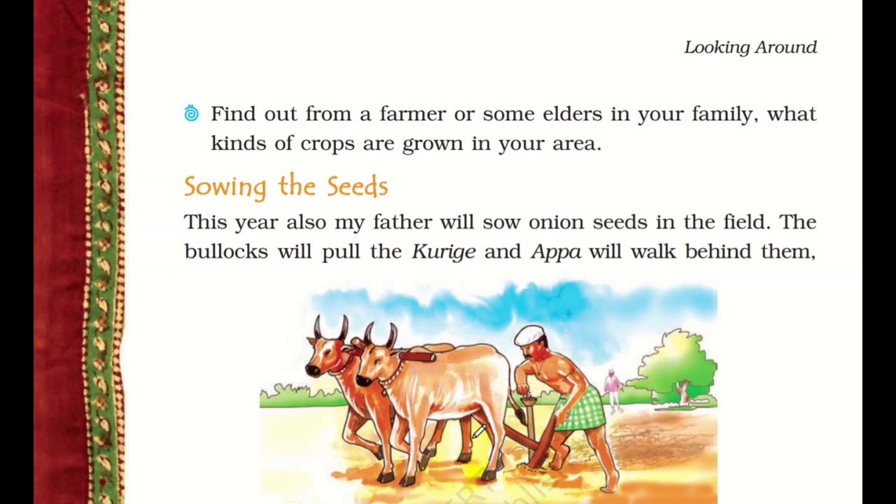 BASVA'S FARM EVS CLASS 4