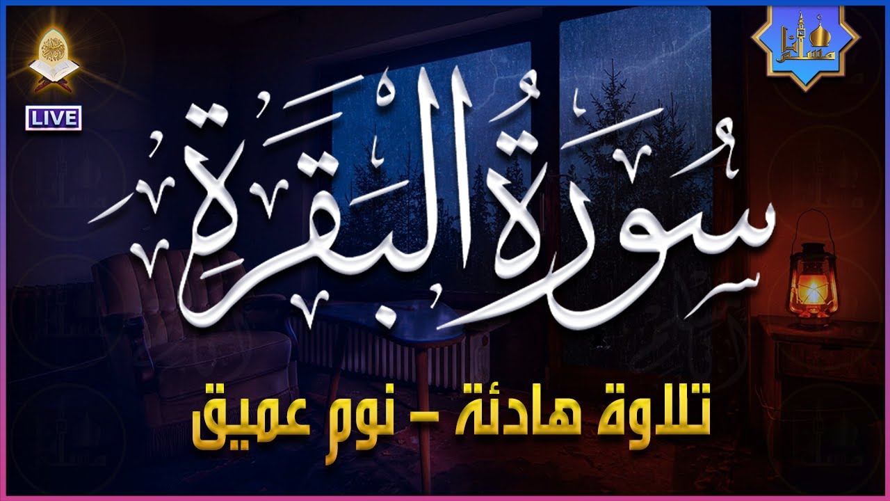 سورة البقرة🎧 تلاوة هادئة ومريحه جداً تسمعها قبل النوم😴ارح قلبك بالقرآن الكريم💙Sourat Al Baqara full