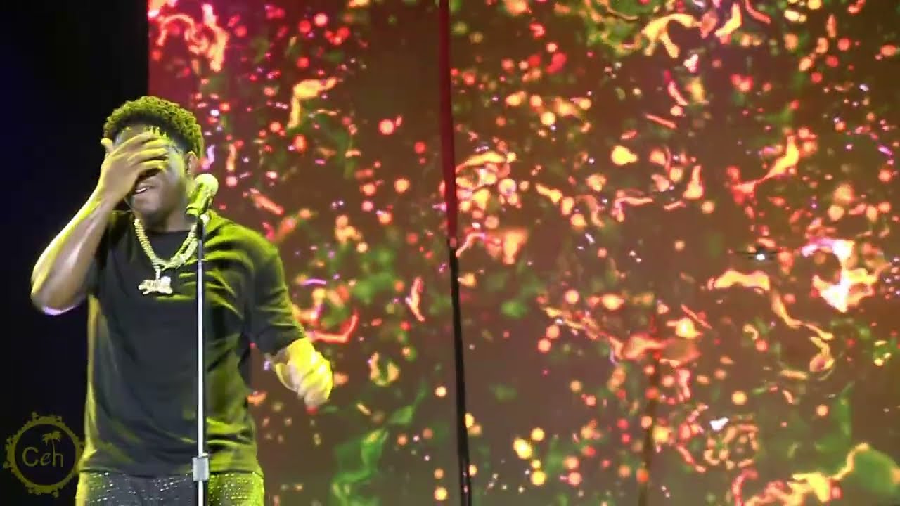 Выступление на разогреве у Voice на Vibes With Voice 2026: "Cheers To 10"