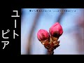【初音ミク】ユートピア【オリジナル】
