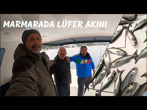 Video: Balık Avına çıkarken Yanınıza Almanız Gerekenler