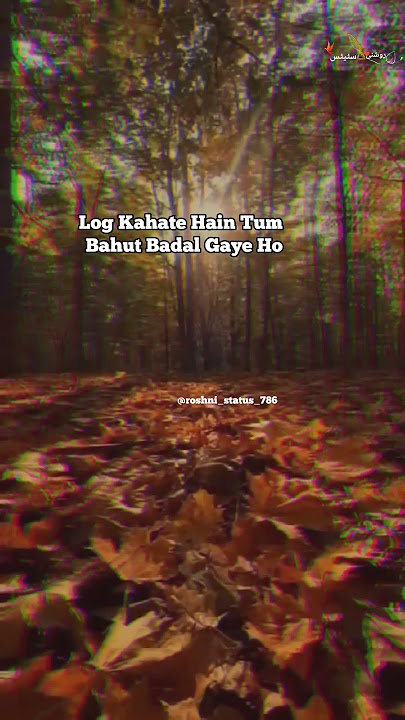 💔Log Kehte Hain Tum Bahut Badal Gaye Ho Batao Ab Toote Hue Patte Rang Bhi Na Badle🥀 #shorts #shayari