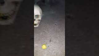 I Put Smoke Bombs In To My Skeleton Head It Was Epic