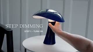 Rumee 220 Portable — How to Use the Dimming Function