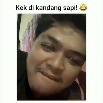 VIDEO LUCU TIDUR NGOROK SEPERTI SAPI!! 😂 #shorts #videolucu #ngakak #viralshorts #sapi