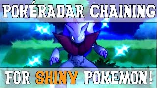 PokéRadar Chaining for Easy Shinies! - Shiny Hunting Guide - Pokemon X and Y screenshot 3