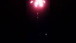 July 4th firework 2