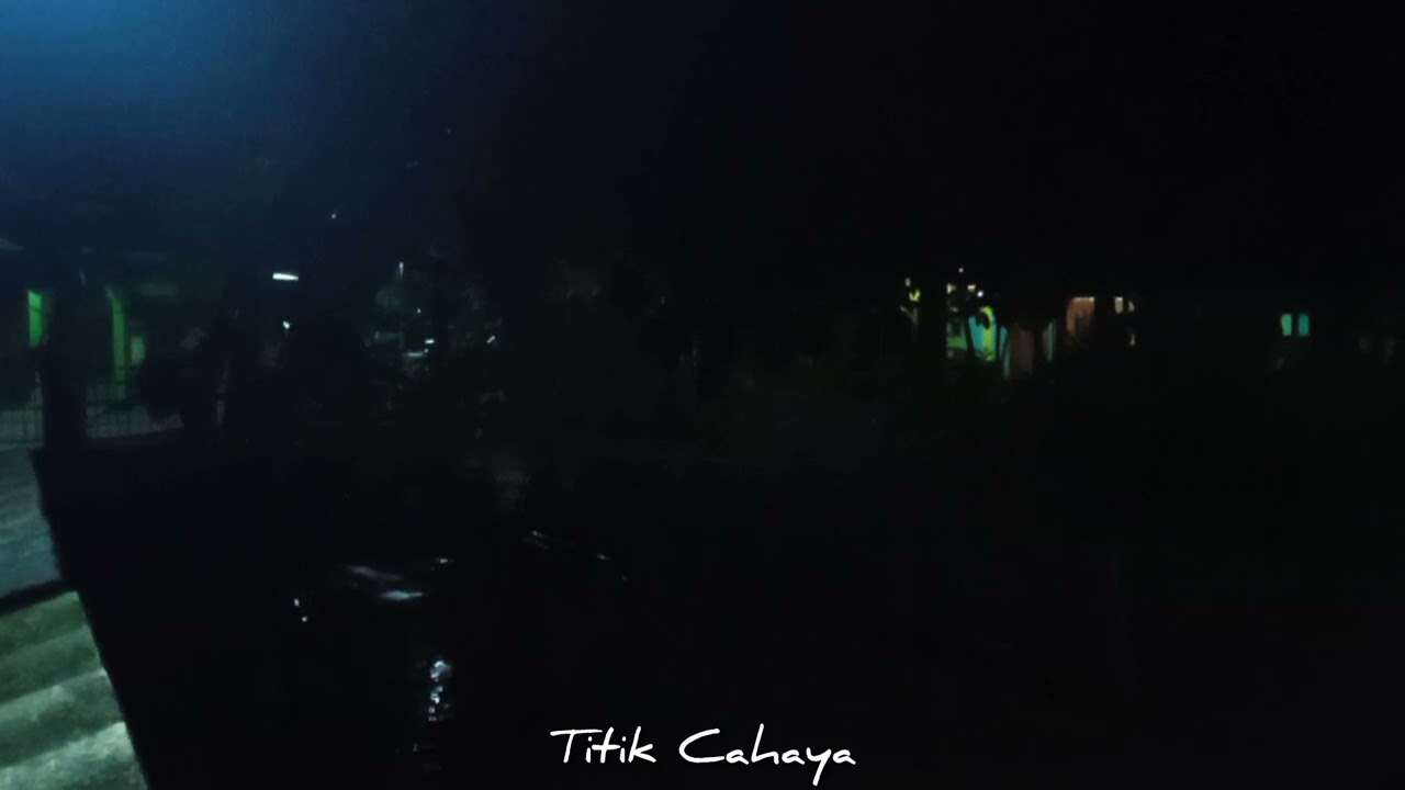 My kitty play store🐱🐱