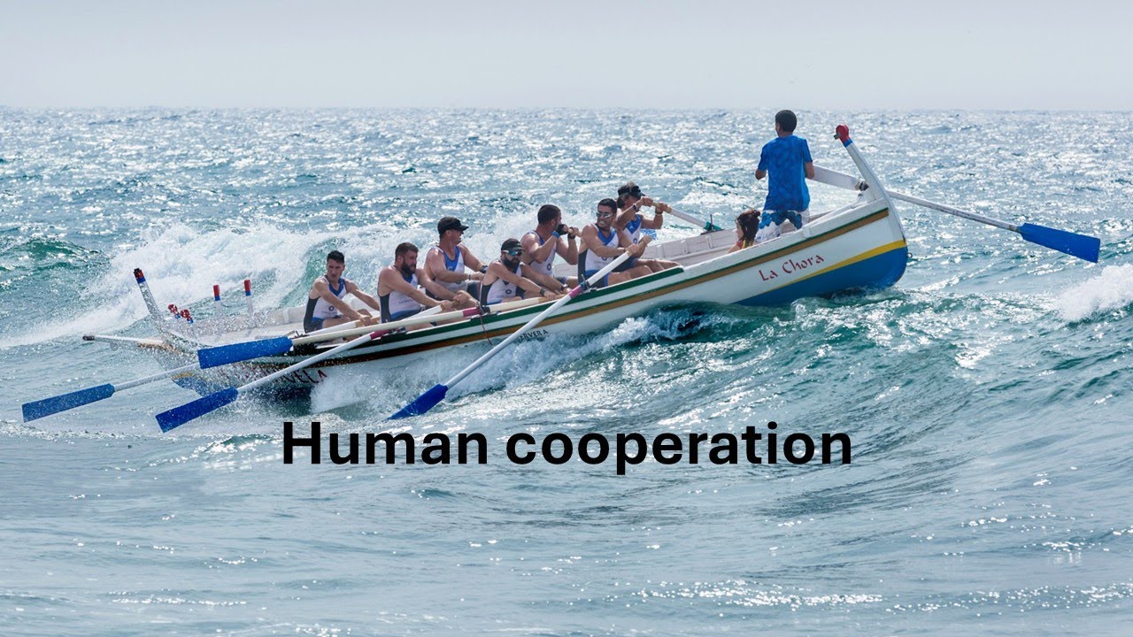 Human cooperation