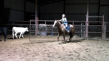 Valley View Ranch - Wil Mil Mate - moving cattle