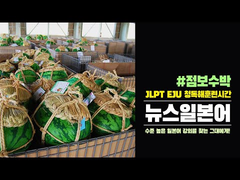 점보수박 (일본어능력시험 JLPT <strong>EJU</strong> 청해 독해 일본어공부)