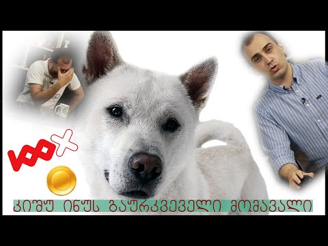 როგორ ვიპოვოთ 100x coin მარტივად და სწრაფად, გადაცემა 14