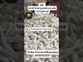 10K Jasmine buds WhatsApp 8838002897 #jasmine #explorepage #order #trending #salemvideos