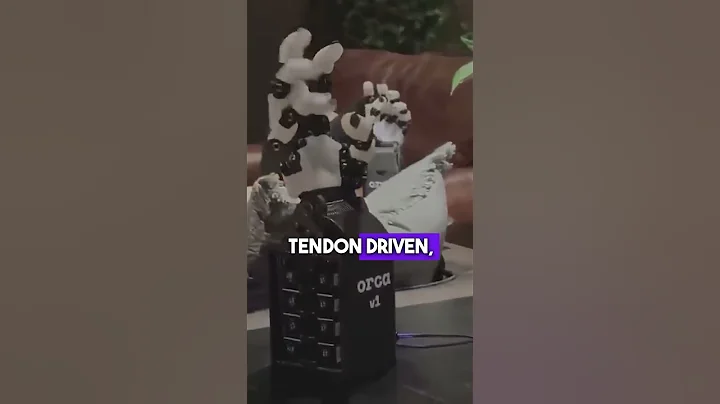 Beyond the Basics: Understanding 17 Degrees of Freedom in Robotics