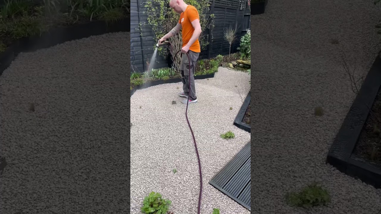 We got rid of the lawn… 