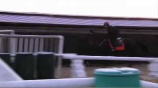 Celebrity The World Hurdle Cheltenham 2011 Thursday tips Net Worth